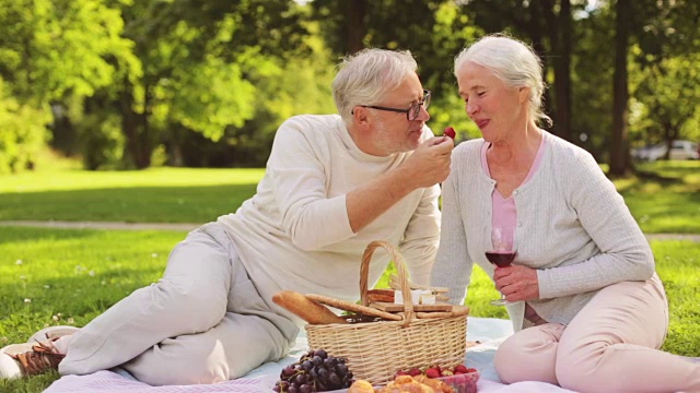 快乐的老年夫妇在夏季公园野餐视频下载