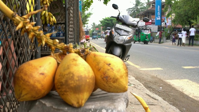 斯里兰卡路边的黄色椰子视频素材