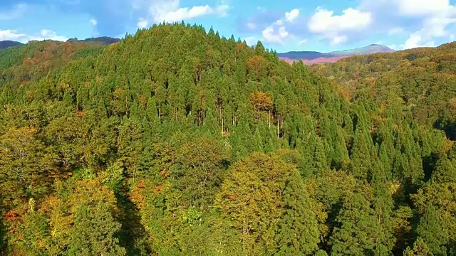 空撮　秋の紅葉视频素材