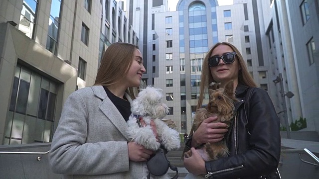 两个年轻的女朋友正在聊天，手牵着小狗视频素材