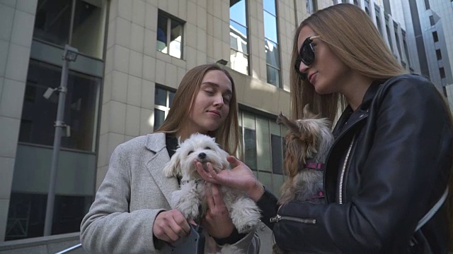 两个小女孩手牵着小狗聊天视频素材