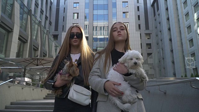 两个时髦的年轻女孩抱着小狗视频素材