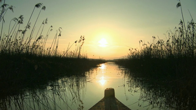 驾着小船沿着沼泽运河驶向日落视频下载