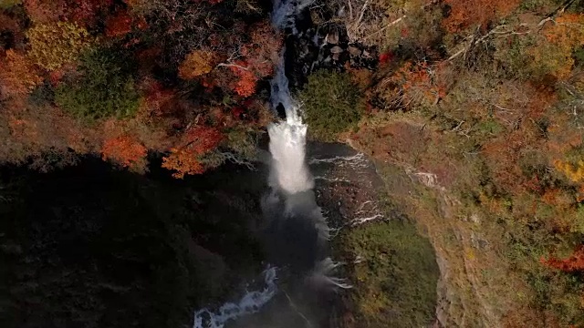 鸟瞰图Kegon瀑布和秋天的树叶，日光，枥木，日本视频素材