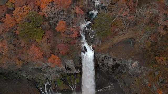 鸟瞰图Kegon瀑布和秋天的树叶，日光，枥木，日本视频素材