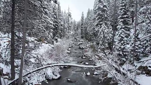 鸟瞰图:狭窄的山河流经白雪覆盖的树林的美丽景色。视频素材