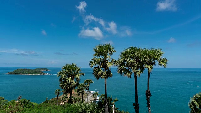 4K时间在蓬贴角的棕榈树排在泰国普吉岛美丽的旅游地标视频素材