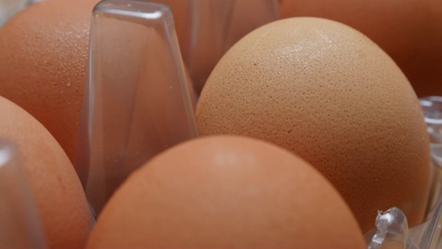 现代塑料蛋盒用大量的新鲜有机鸡蛋排4K视频下载