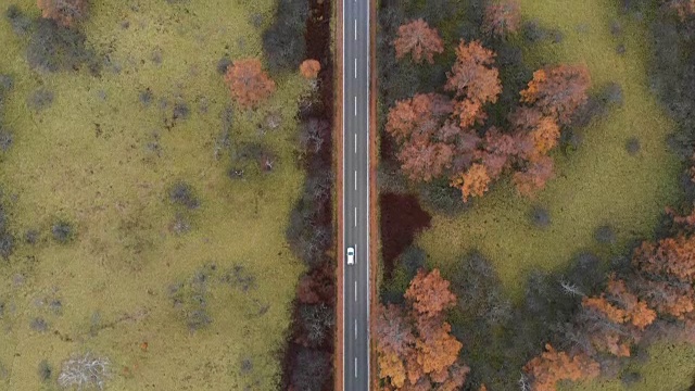 鸟瞰图与小车向前的风景路线，在秋天的尖沙原沼泽，日光，日本。视频下载