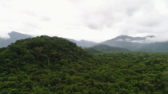 玛塔亚特兰提卡-巴西的大西洋森林视频下载