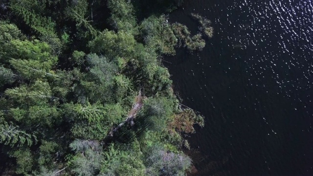 鸟瞰挪威奥斯陆外的森林和湖泊。视频素材