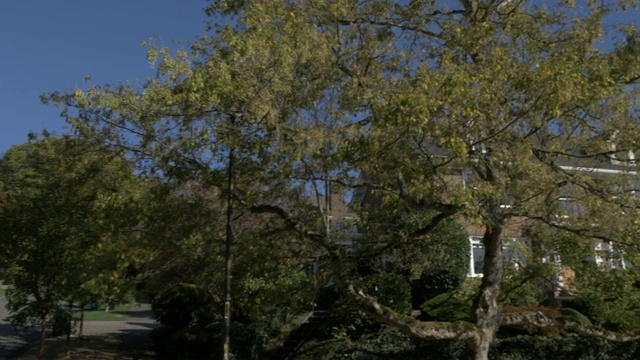 美国华盛顿州西雅图市皇后安区克里公园附近的郊区房屋视频下载
