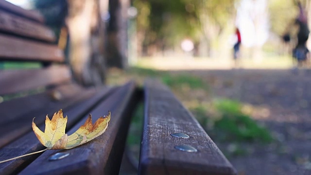 多莉。公园长椅上的秋叶，背景是骑自行车的人视频下载