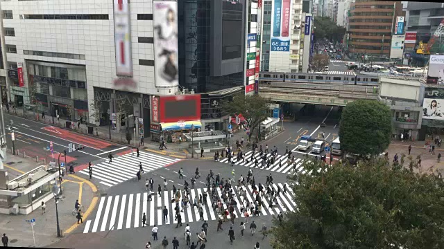 在日本涩谷，4k vdo俯视图人们走在人行横道上的火车上视频下载