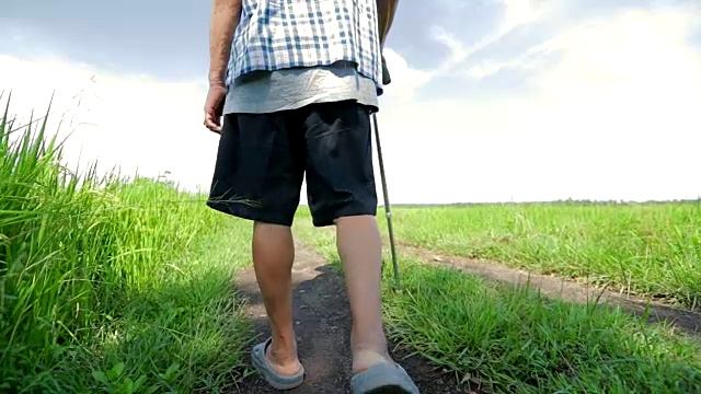 亚洲资深男性拄着拐杖行走在大自然中，理念健康，动作缓慢视频素材
