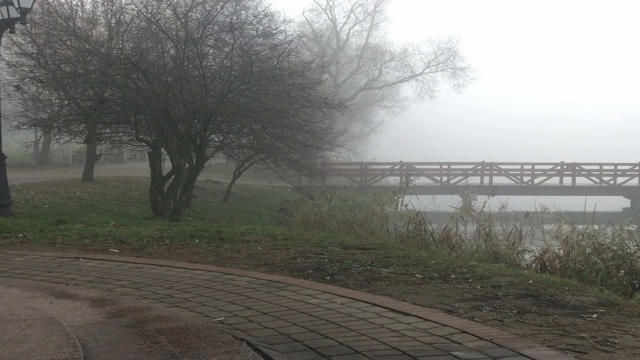 沿着湖岸散步。附近有一座木桥。周围的一切都笼罩在浓雾之中。视频素材