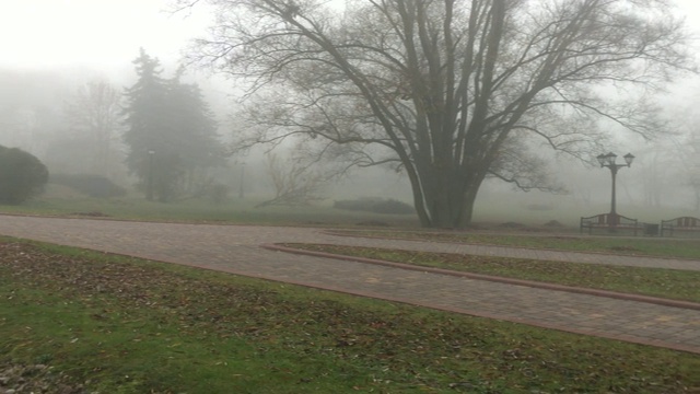 漫步在公园的步行街，沉浸在浓浓的雾中。可见旧式的灯笼和长凳。视频素材