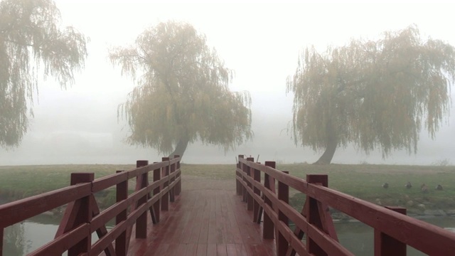 沿着木桥走到湖上的那个岛。周围的一切都笼罩在浓雾之中。视频素材