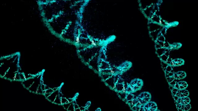 DNA结构视频下载