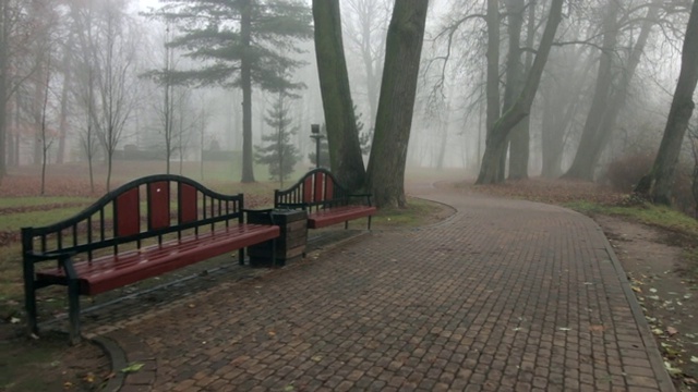 沿着秋天公园的大道散步。有老式的长椅。浓雾笼罩着树木和灌木。视频素材