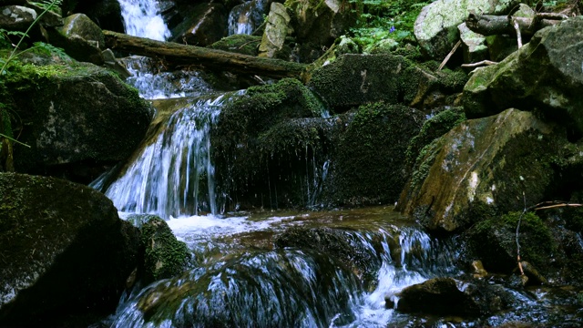 美丽的山溪在绿树成荫的森林里流过满是苔藓的巨石视频素材