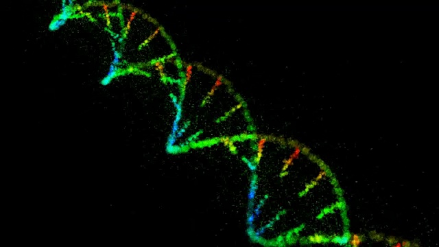 DNA结构视频下载