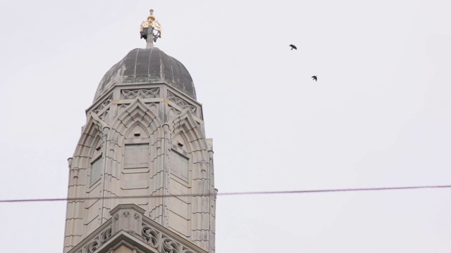 苏黎世格罗斯蒙斯特教堂上空的鸟儿视频下载