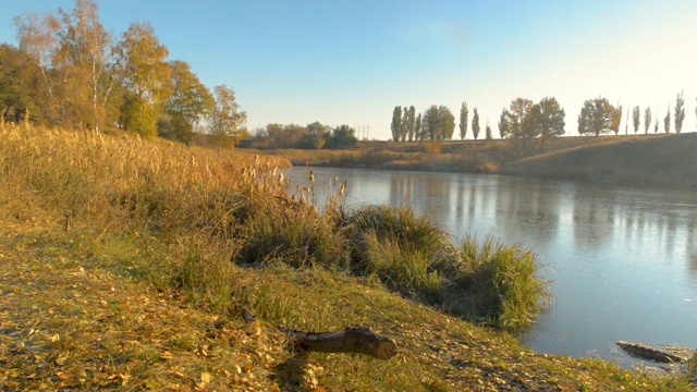 河landsсape在秋天视频素材