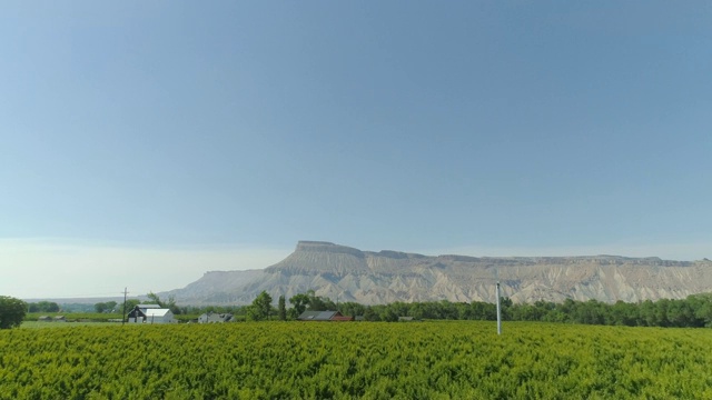 一个上升的无人机拍摄的桃树果园与加菲尔德山在一个阳光明媚的一天，在科罗拉多州帕利塞德视频素材