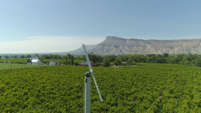 一个无人机拍摄的桃树果园和果园扇与加菲尔德山在一个阳光明媚的一天，在帕利塞德，科罗拉多州视频素材
