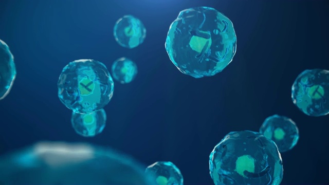 细胞，细菌抽象背景。显微镜下的细胞。蓝色背景是人类细胞。人体细胞图解。视频素材