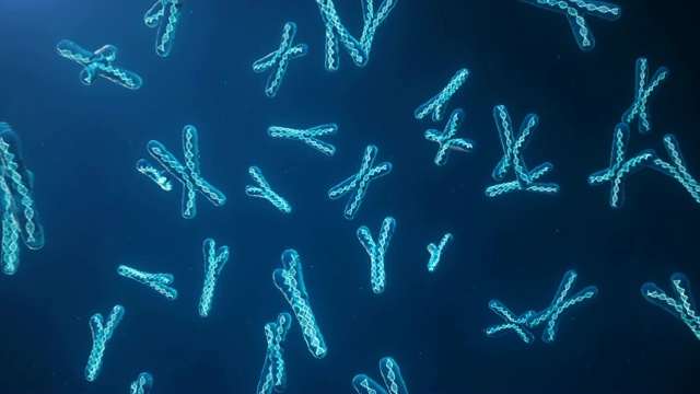 蓝色背景上的X和Y染色体。显微镜下带有DNA螺旋的染色体。人类染色体。说明X和Y染色体。编码的遗传密码。视频素材