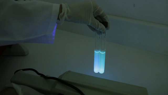 铜绿假单胞菌荧光试验视频下载