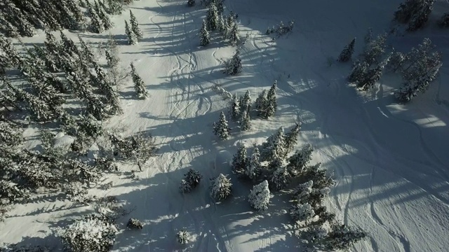 鸟瞰图无人机自由滑雪者骑在粉末雪视频素材
