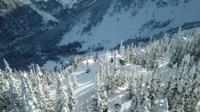 鸟瞰图无人机自由滑雪板掉落粉雪视频素材