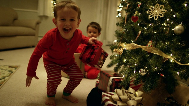 两个年轻(三岁和五岁)的白人男孩在圣诞节跑到圣诞树和兴奋地从圣诞树下捡圣诞礼物视频下载