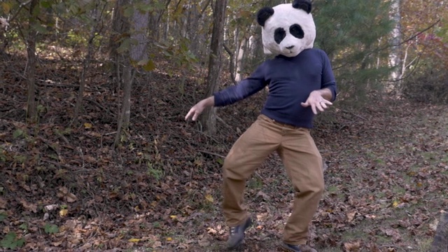 一个男人傻乎乎地戴着熊猫头面具在公园外面跳舞视频素材