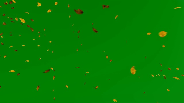 秋叶在绿色屏幕上飞舞色键视频素材