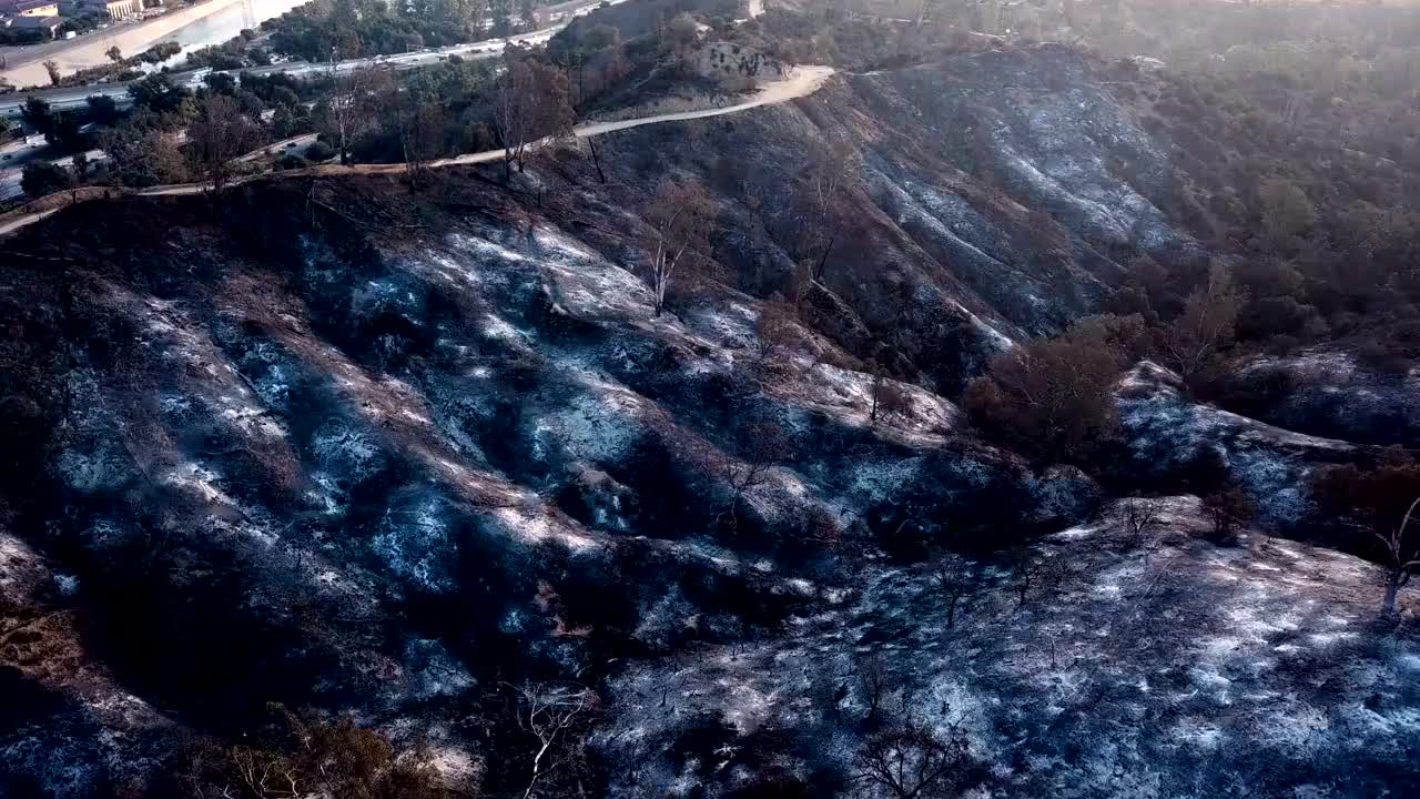 加州野火的4K视频视频素材