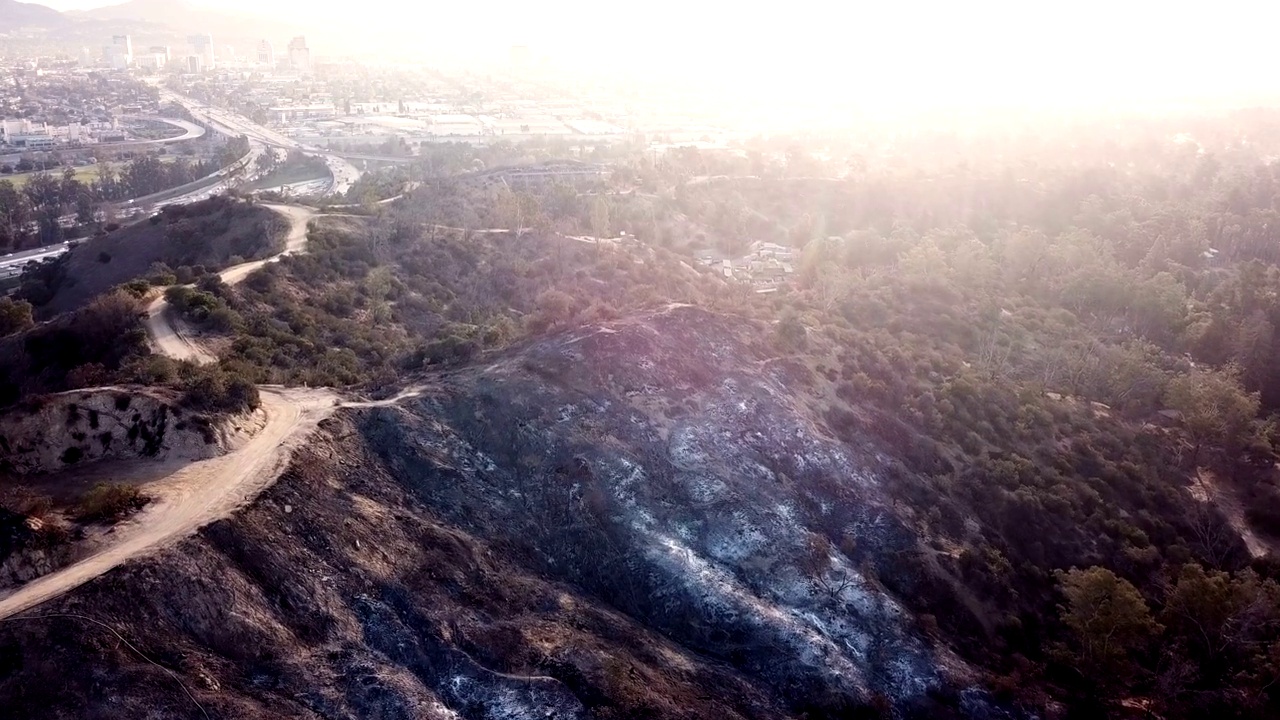 加州野火的4K视频视频素材