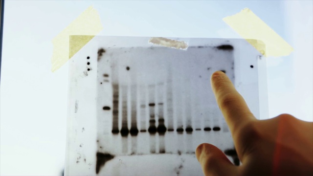DNA结果研究:科学和医学研究视频下载