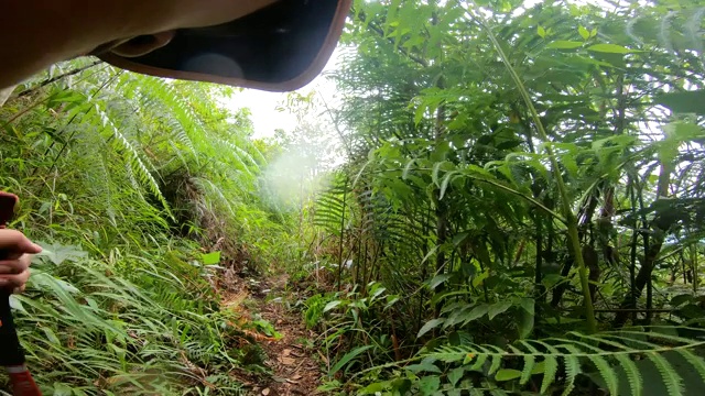 人类在雨中行走在丛林中探险。视频素材