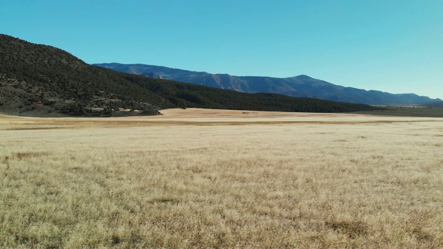 在晴朗的蓝天下，无人机在犹他州山脚下拍摄的棕色沙漠平原视频下载