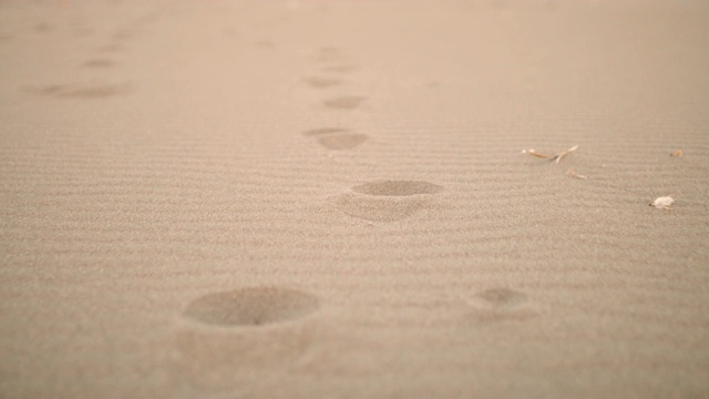 日落时湿沙上的脚印视频下载