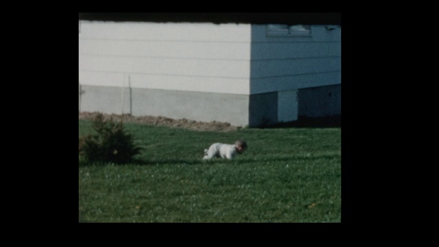 1960年，小男孩在后院草地上爬来爬去视频素材