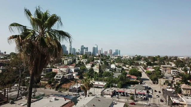 无人机拍摄的洛杉矶棕榈树视频下载