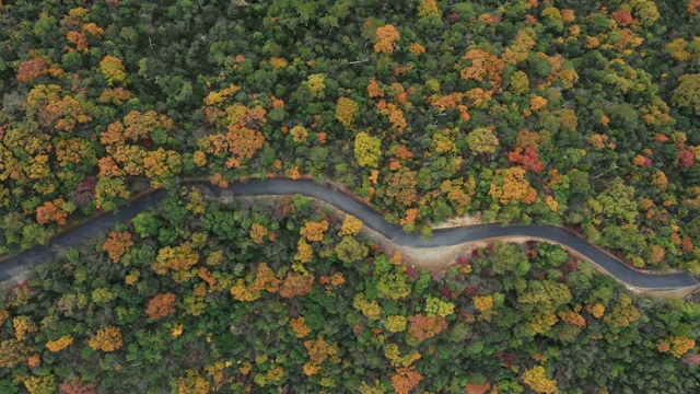 无人机拍摄的秋叶和山路视频素材