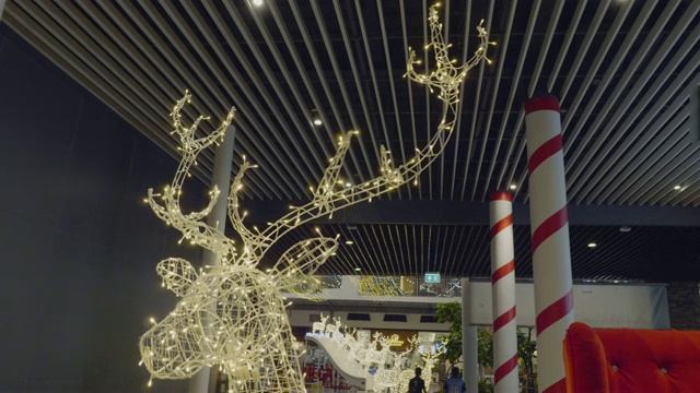 圣诞树串灯。视频下载