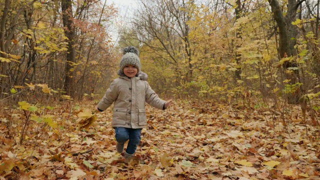 快乐的小男孩沿着秋天的公园小路精力充沛地奔跑视频素材