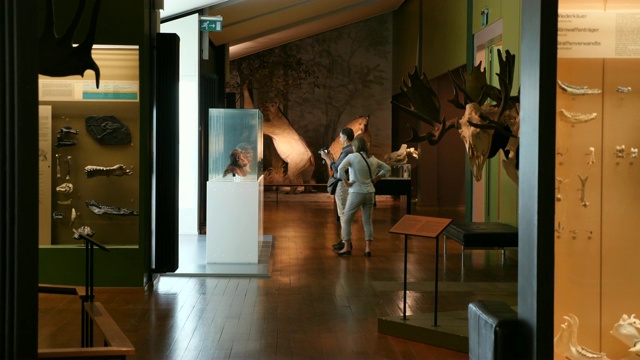 自然历史博物馆内部与游客，展览，自然/巴塞尔，瑞士视频下载